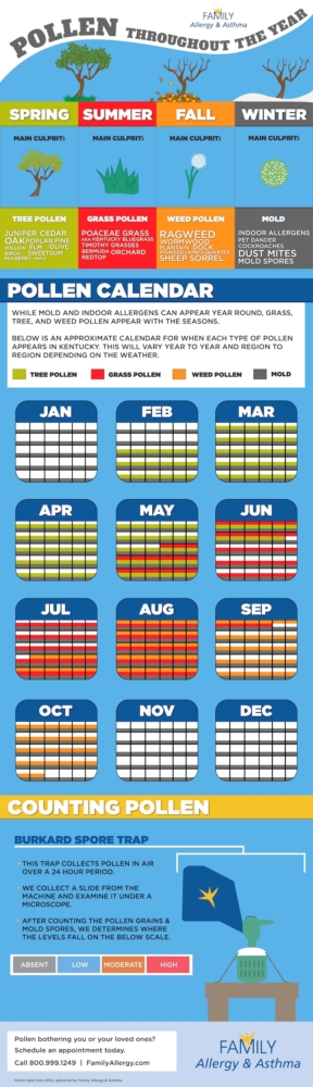 Kentucky Pollen Seasons Inforgraphic