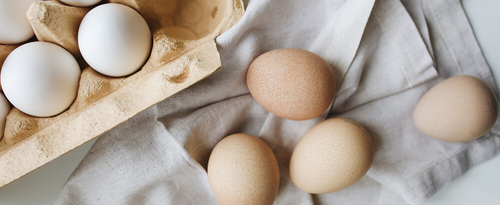 Egg Allergy