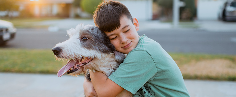 Pet Allergies