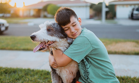 Allergy shots help with Pet Allergies