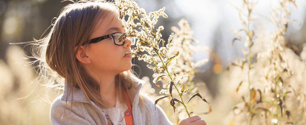 Fall Ragweed Season - Family Allergy and Asthma