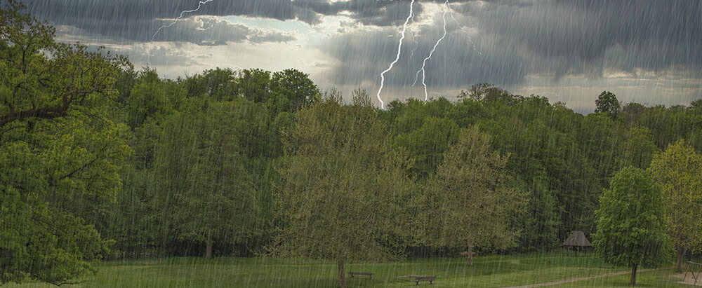 Thunderstorm Asthma
