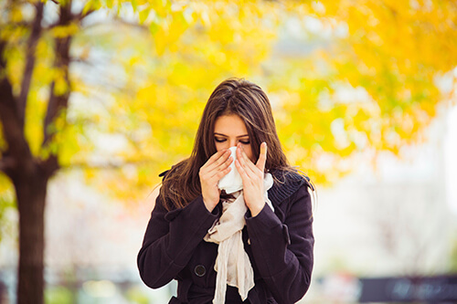 Allergists in Louisville KY